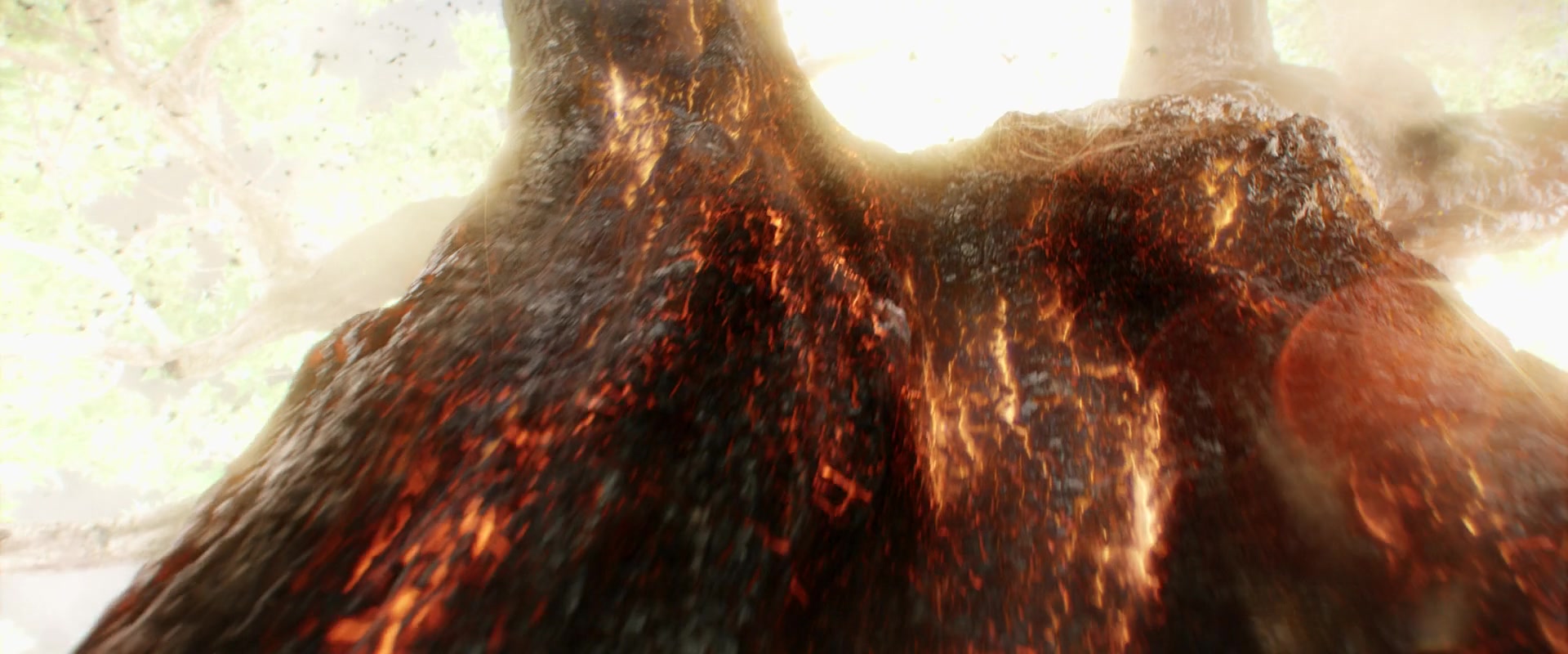 LOTR_0162.jpg