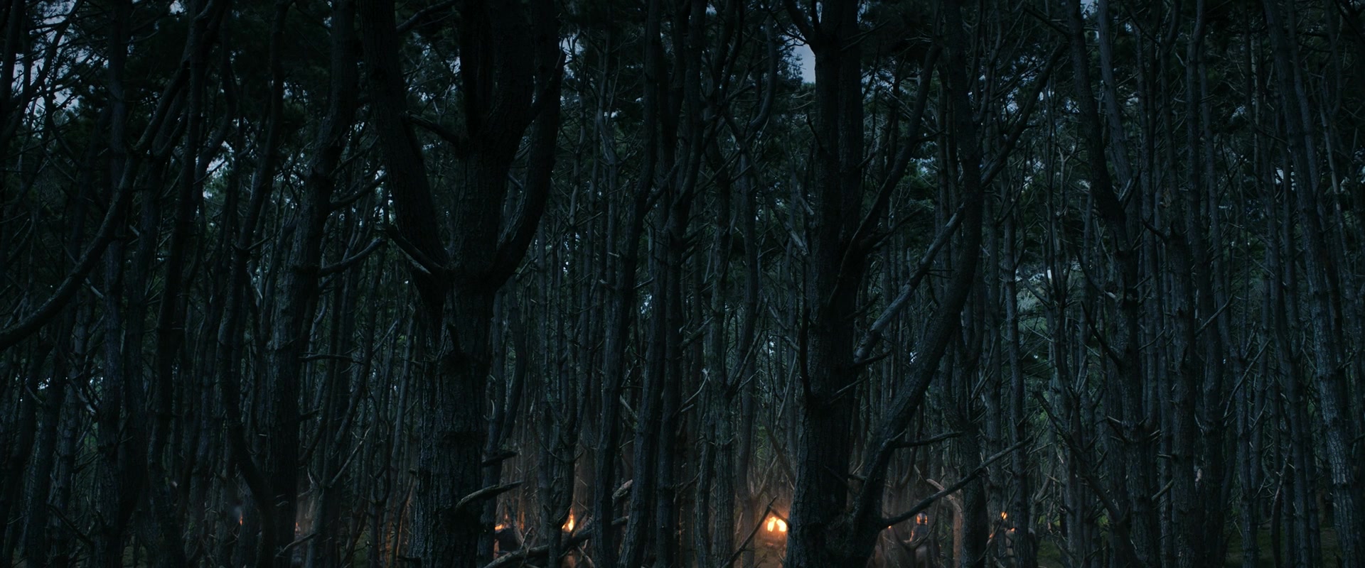 LOTR_0269.jpg