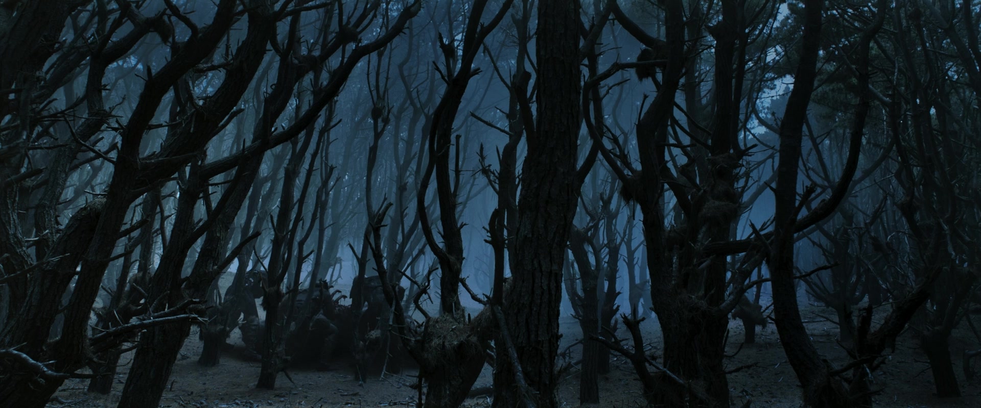 LOTR_0270.jpg