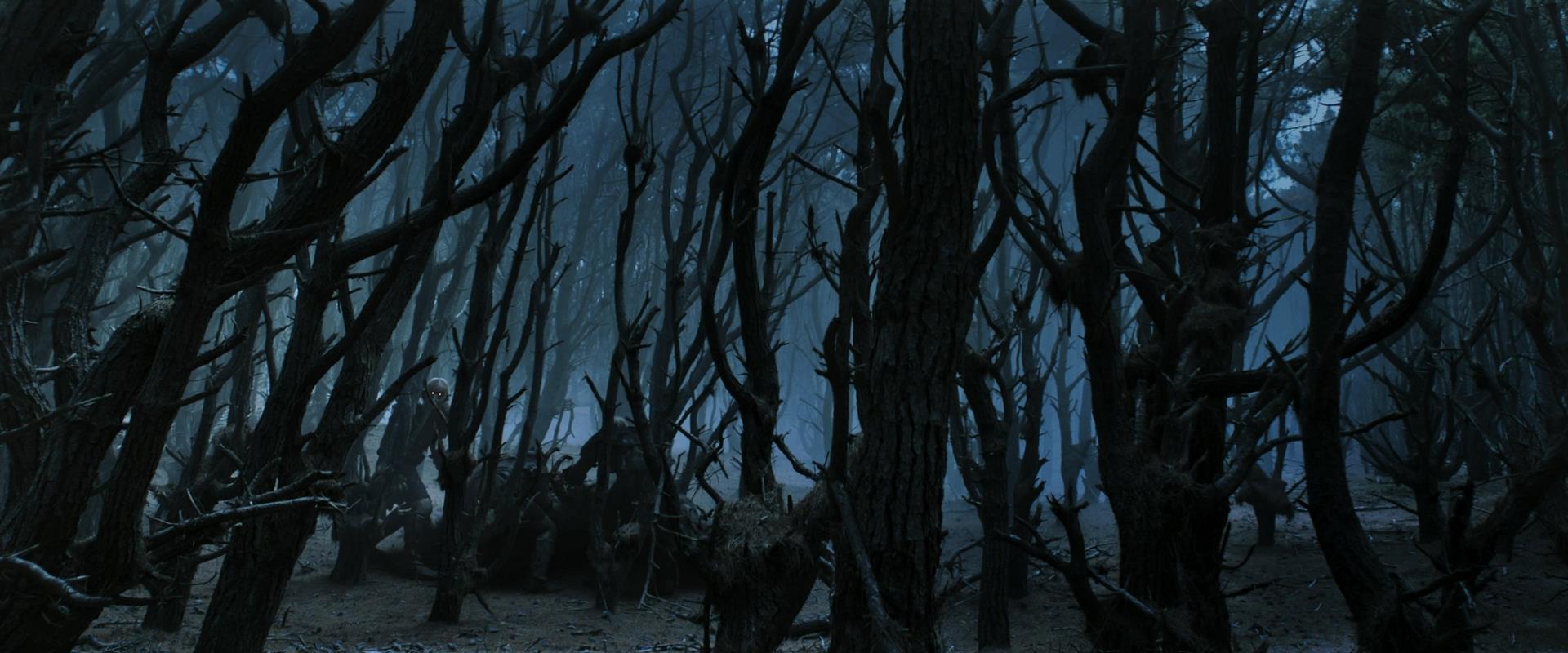 LOTR_0271.jpg