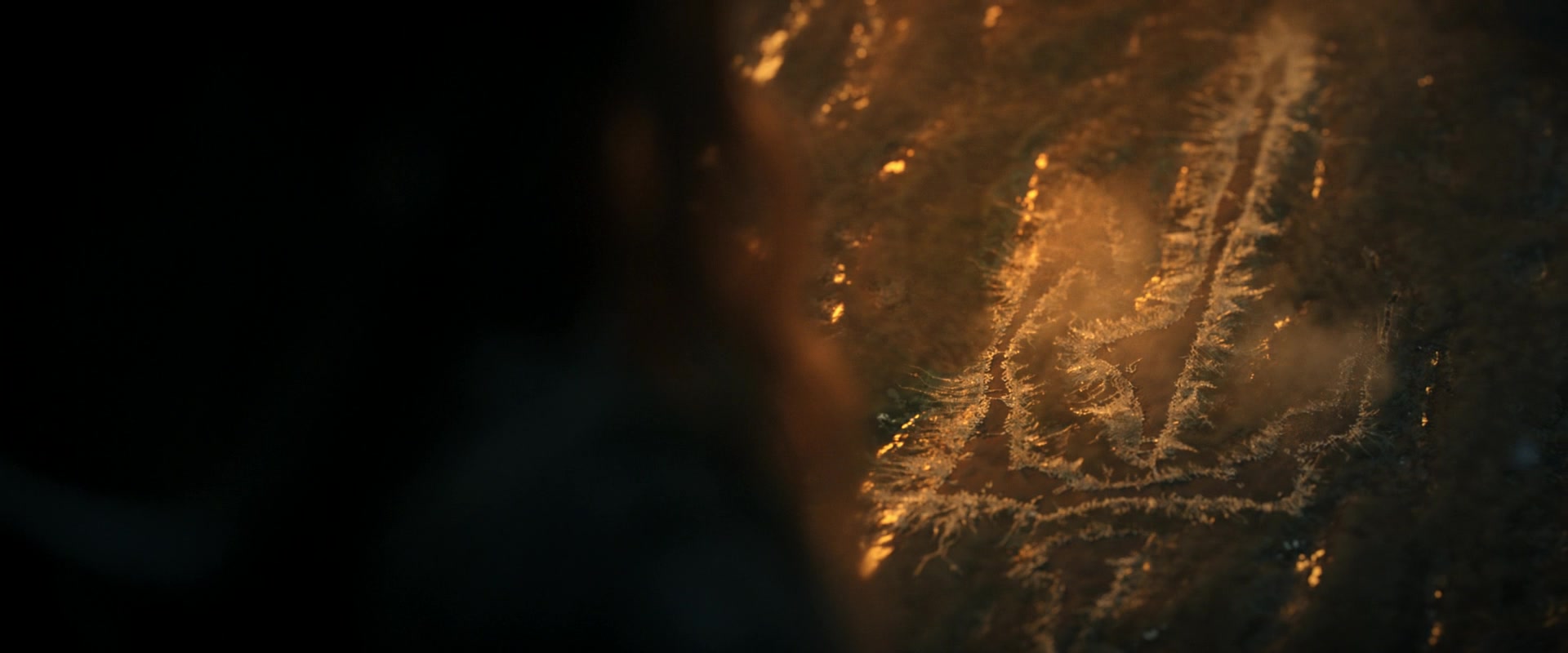 LOTR_0511.jpg