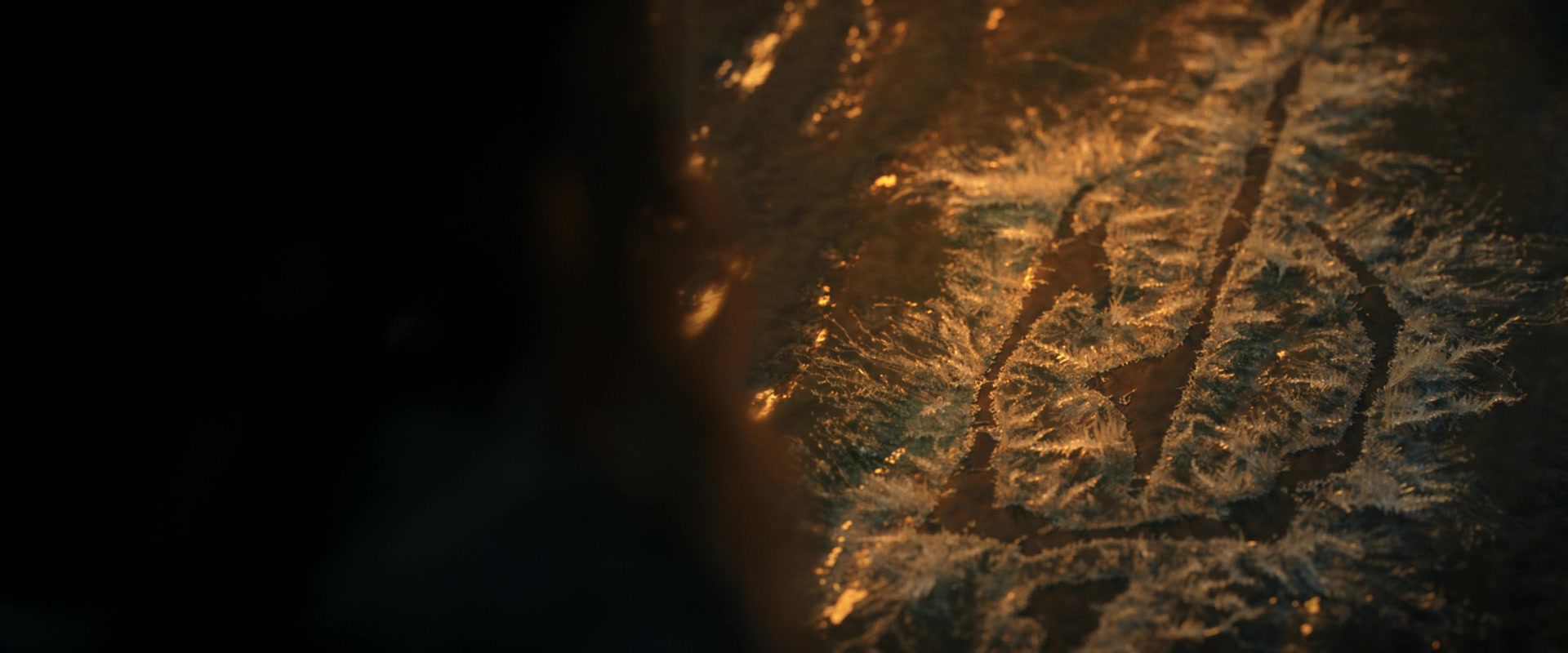 LOTR_0512.jpg