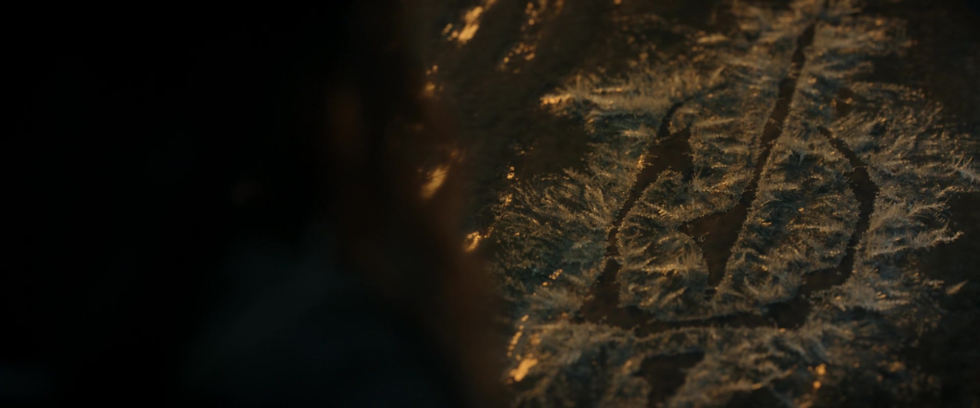LOTR_0520.jpg