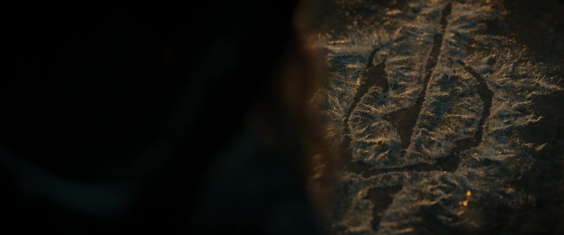 LOTR_0528.jpg