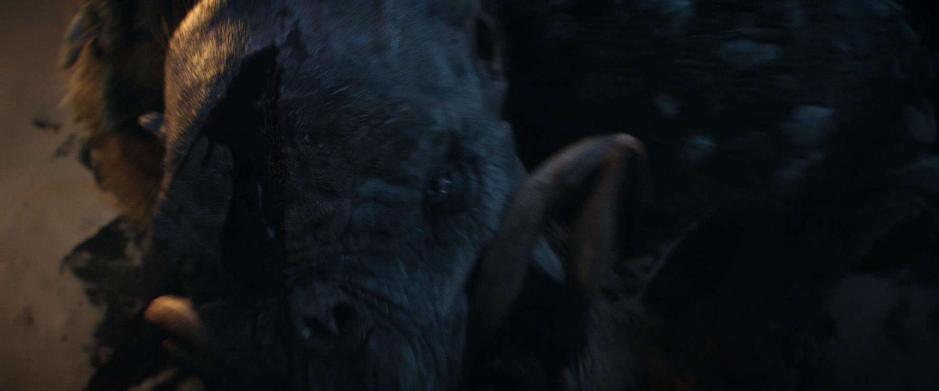 LOTR_0661.jpg