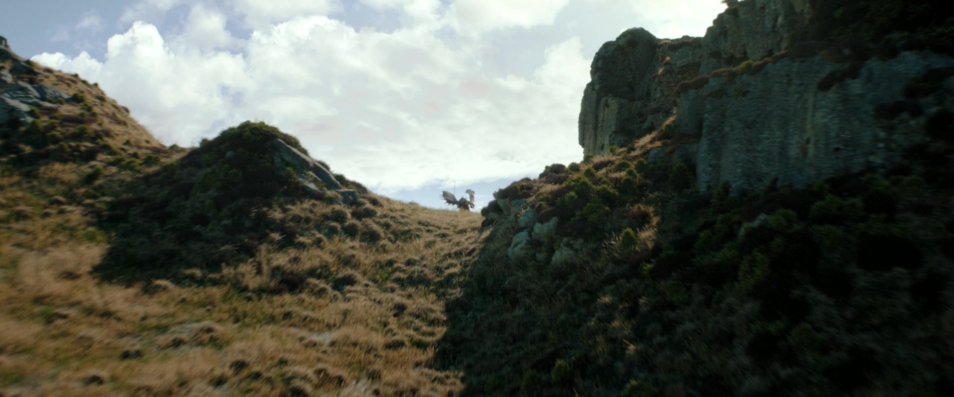 LOTR_0716.jpg