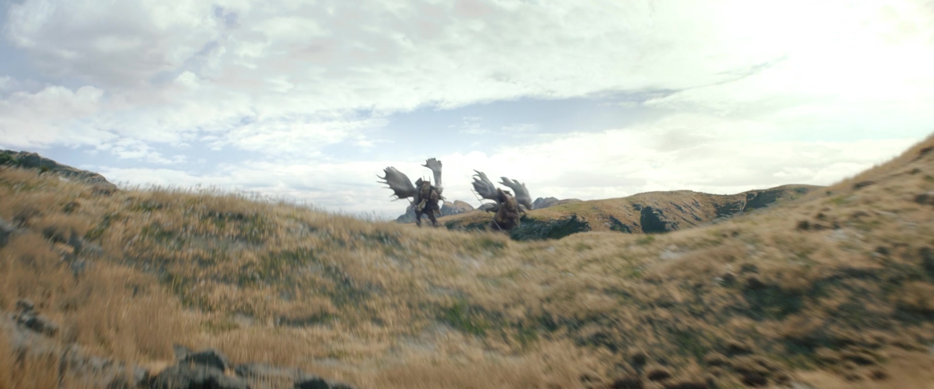 LOTR_0718.jpg