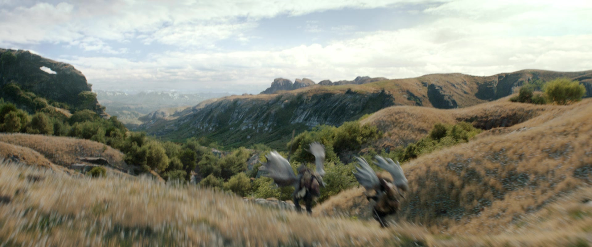 LOTR_0719.jpg