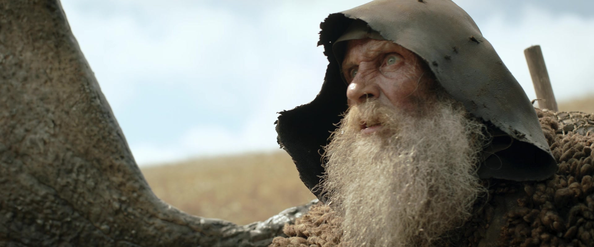 LOTR_0732.jpg