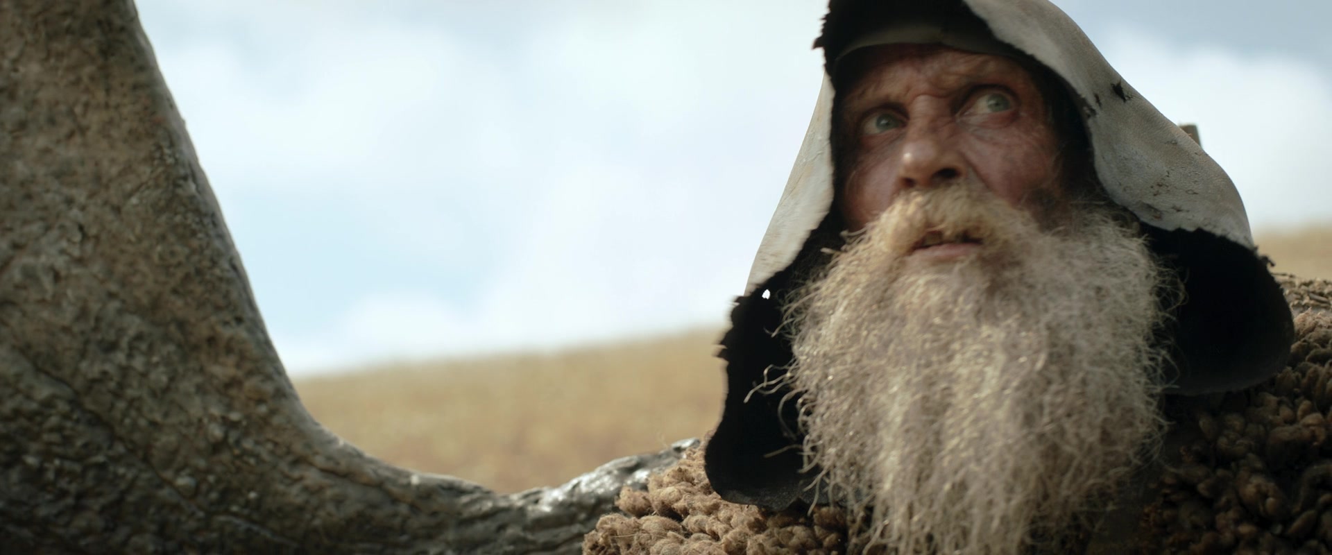 LOTR_0733.jpg