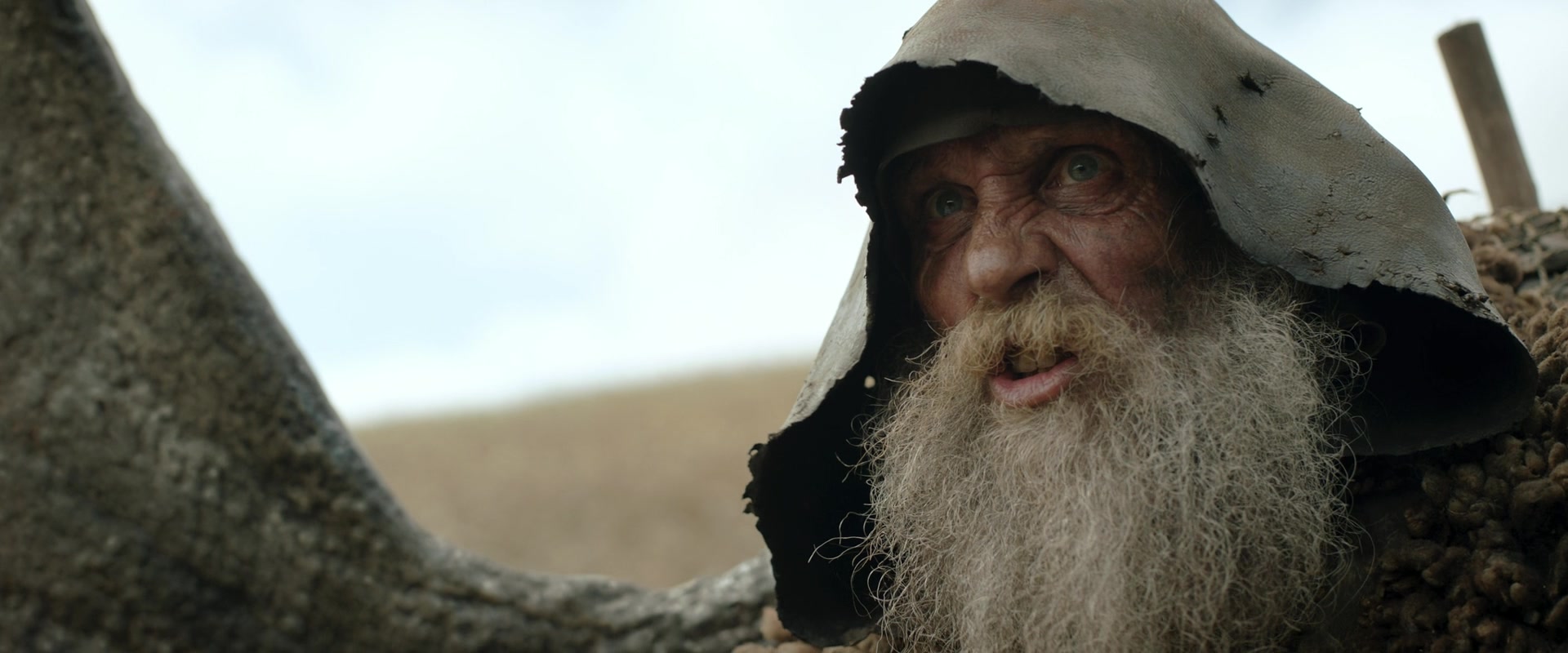 LOTR_0739.jpg