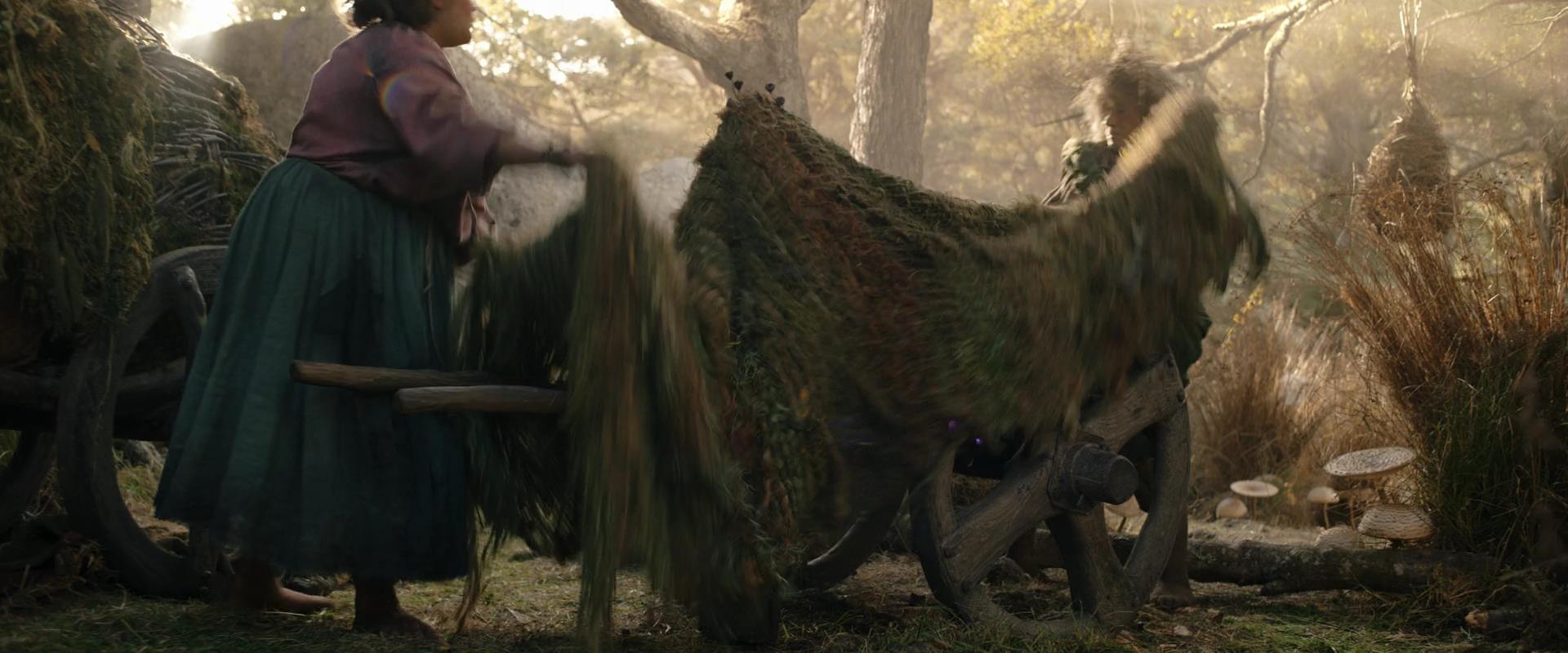 LOTR_0780.jpg
