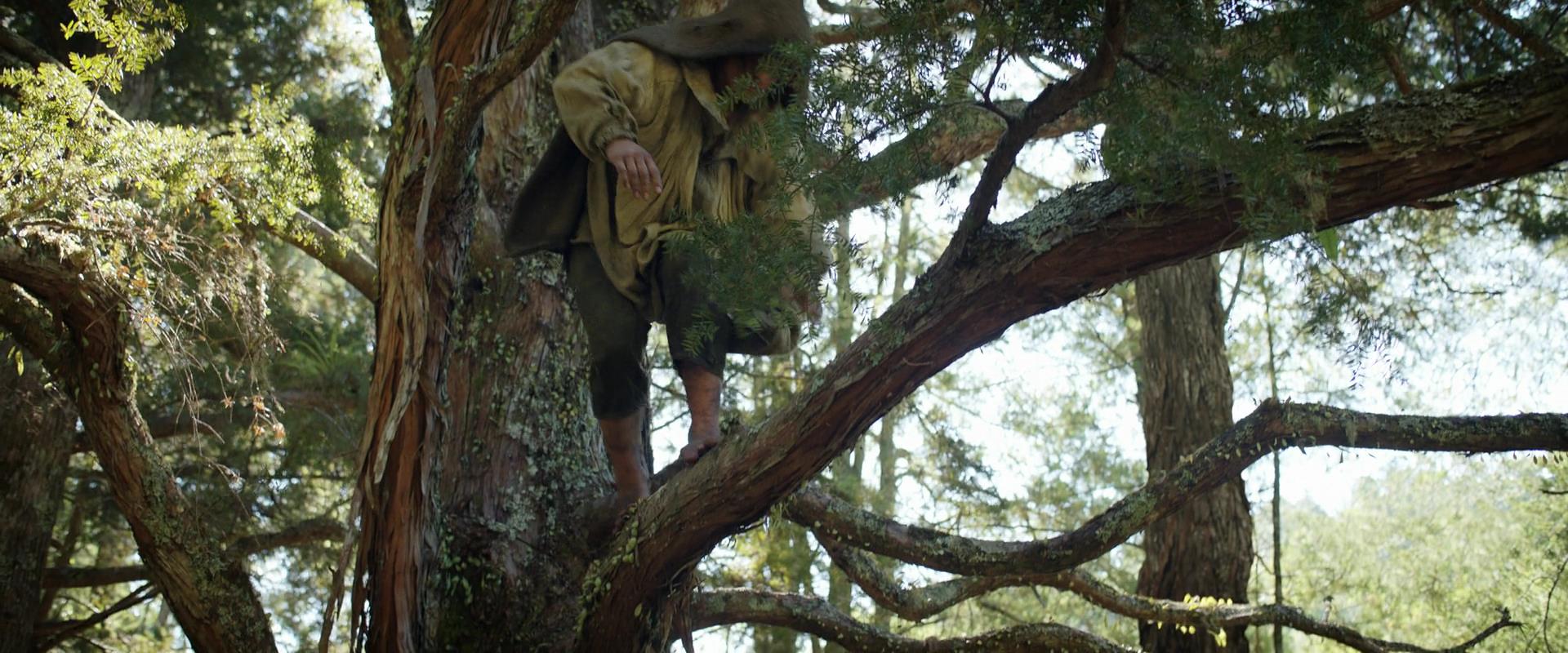 LOTR_0788.jpg