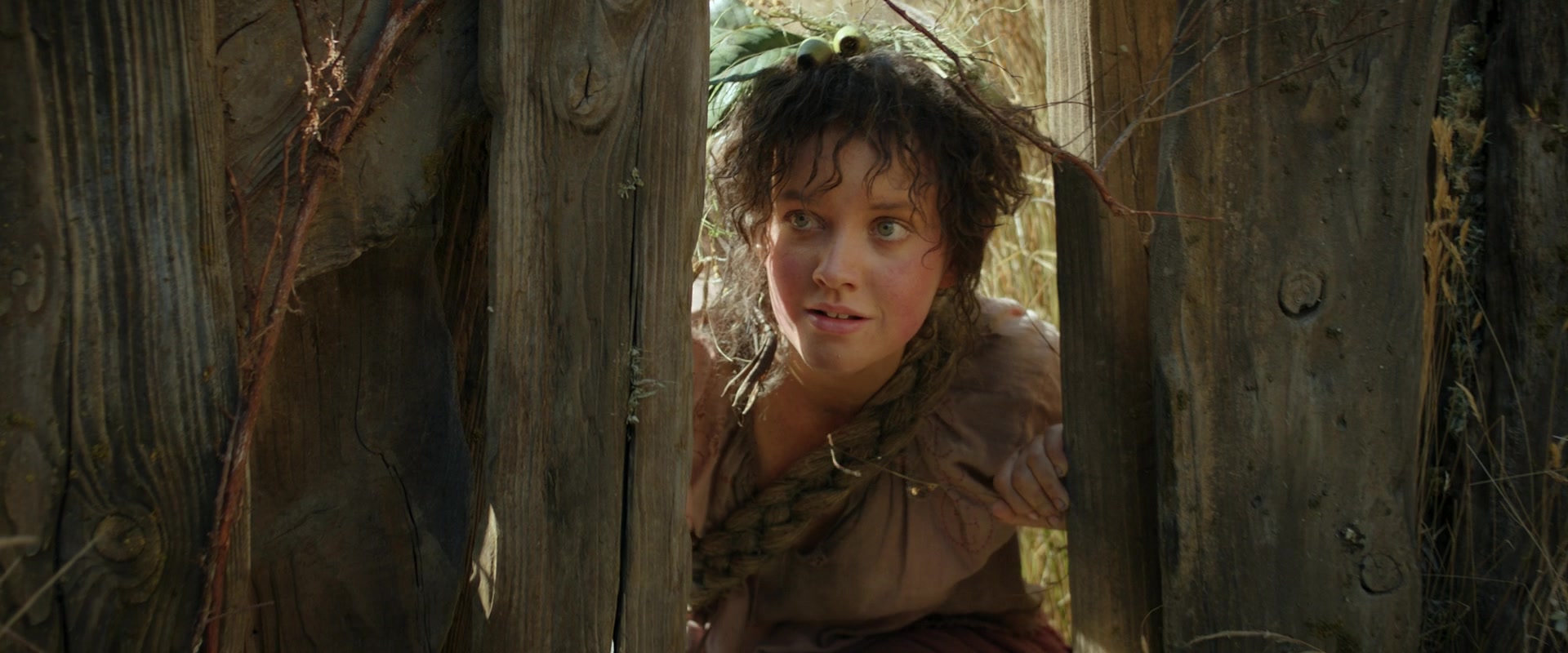 LOTR_0826.jpg