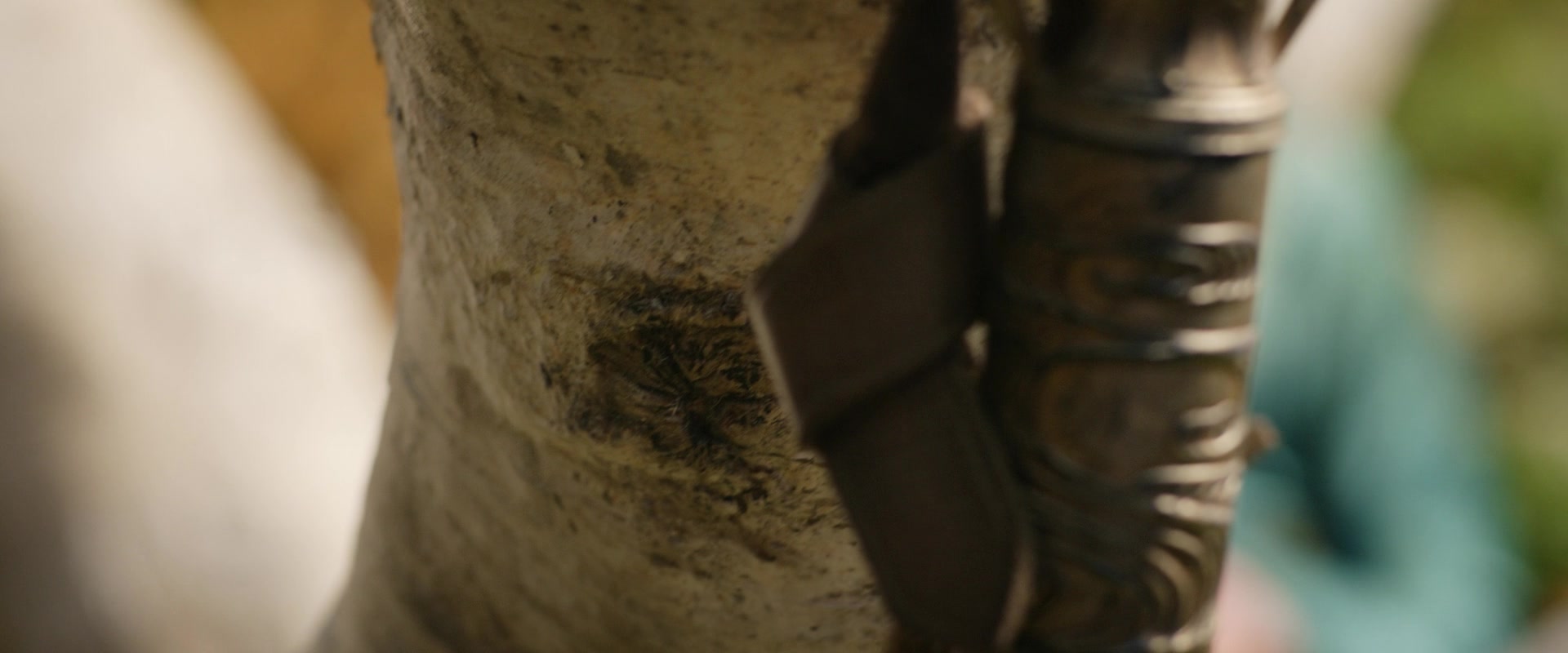 LOTR_0918.jpg