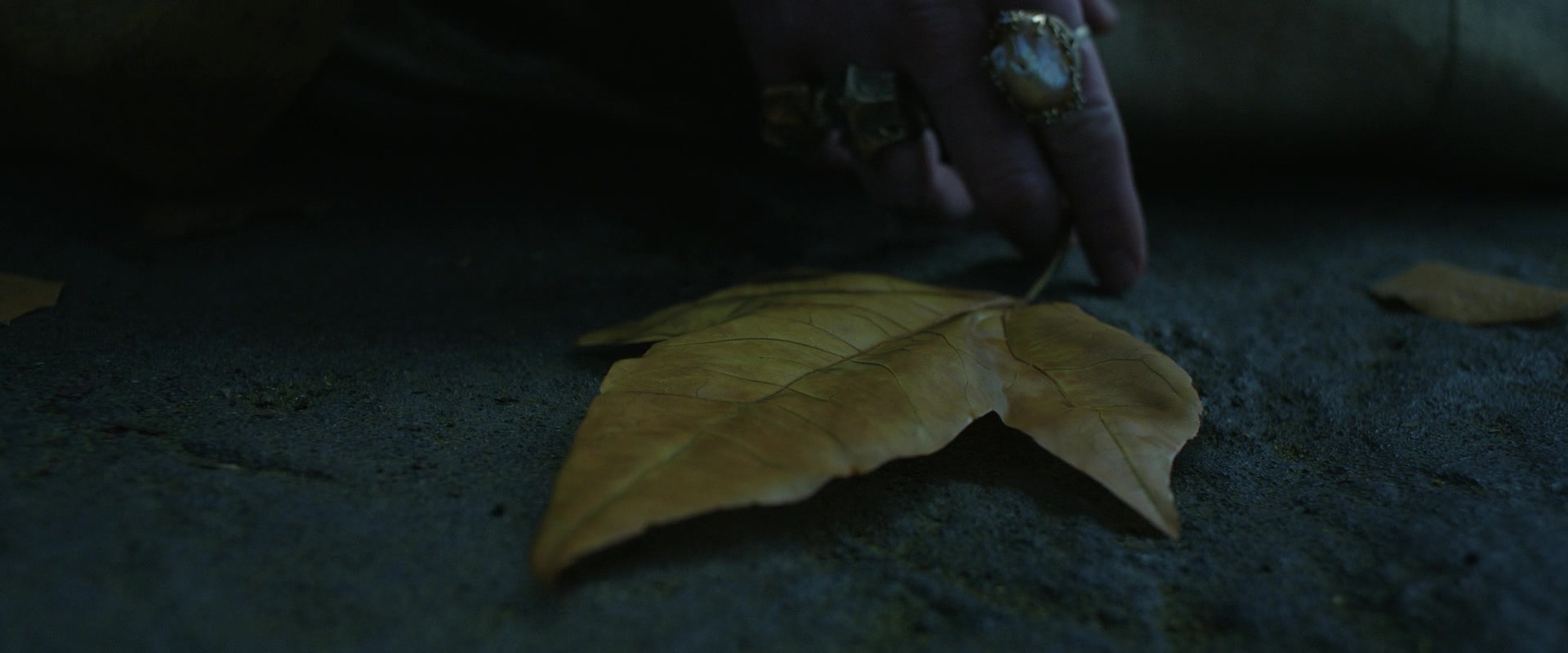 LOTR_2013.jpg