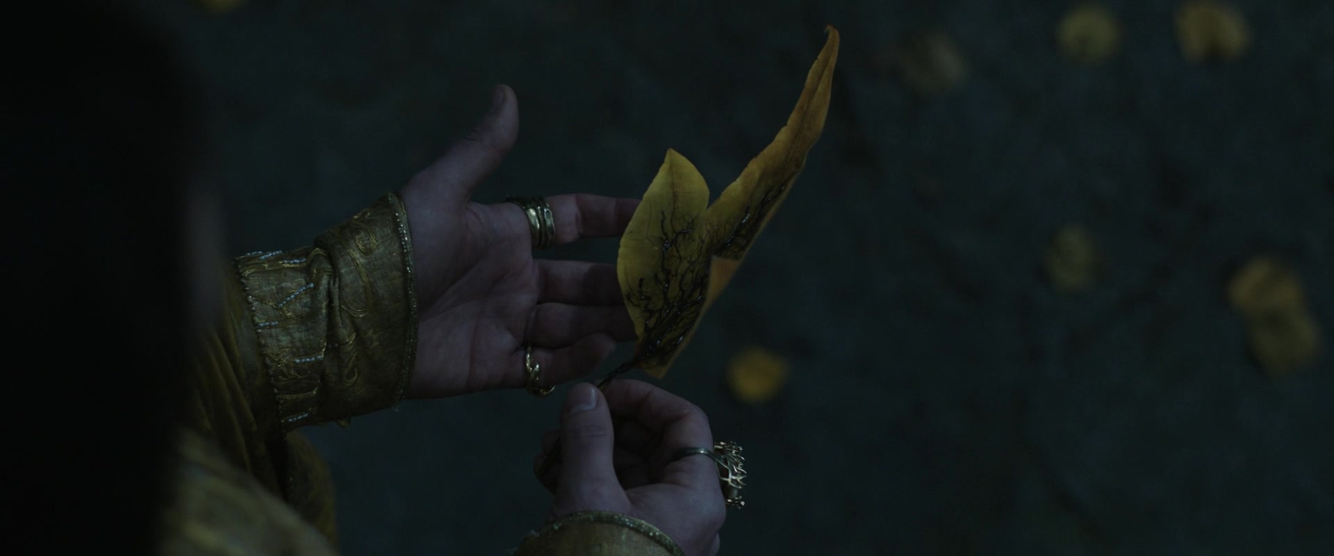 LOTR_2018.jpg