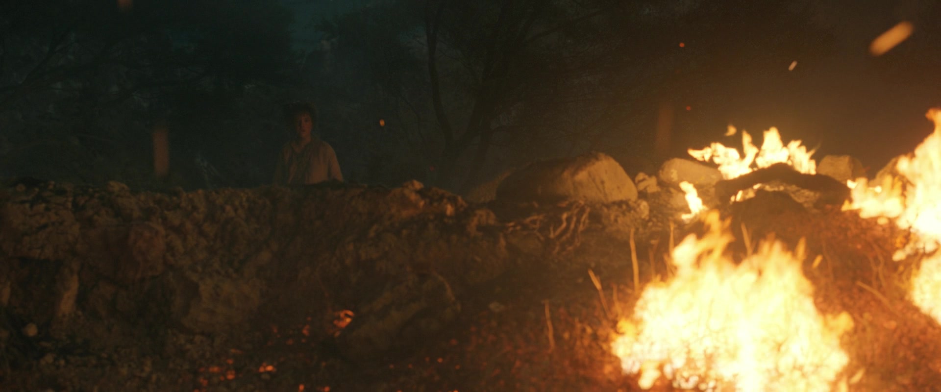 LOTR_2031.jpg