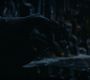 LOTR_0546.jpg