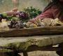 LOTR_0783.jpg