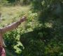 LOTR_0877.jpg