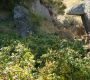 Filename=LOTR_0910.jpg
Filesize=588KiB
Dimensions=1920x800
Date added=Sep 10, 2022 LOTR_0910.jpg