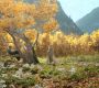 LOTR_0927.jpg