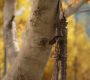 LOTR_0938.jpg