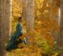 LOTR_0939.jpg