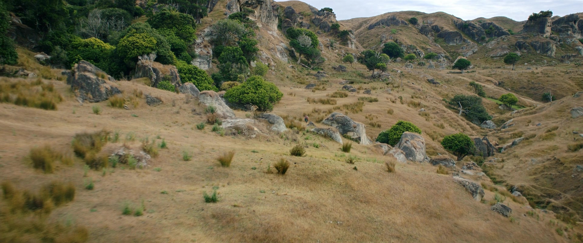 LOTR_0613.jpg