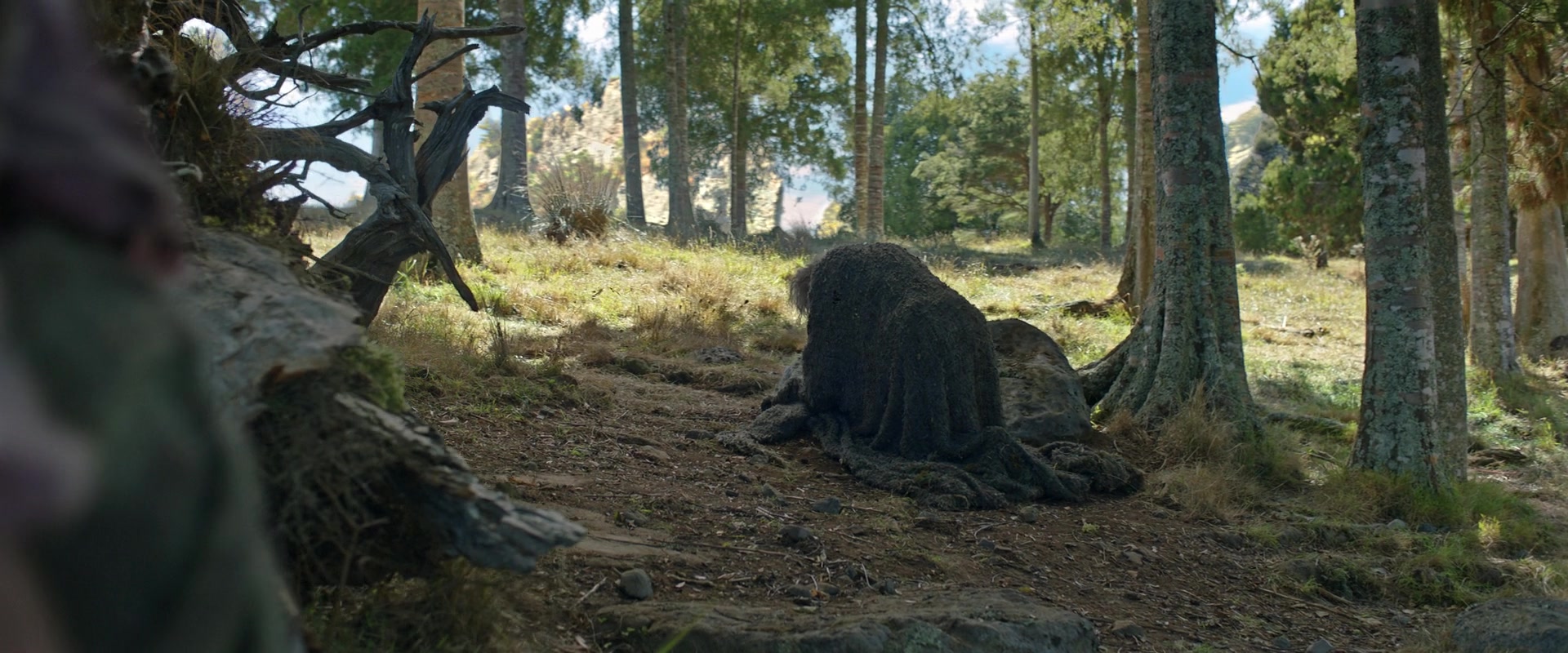LOTR_0627.jpg
