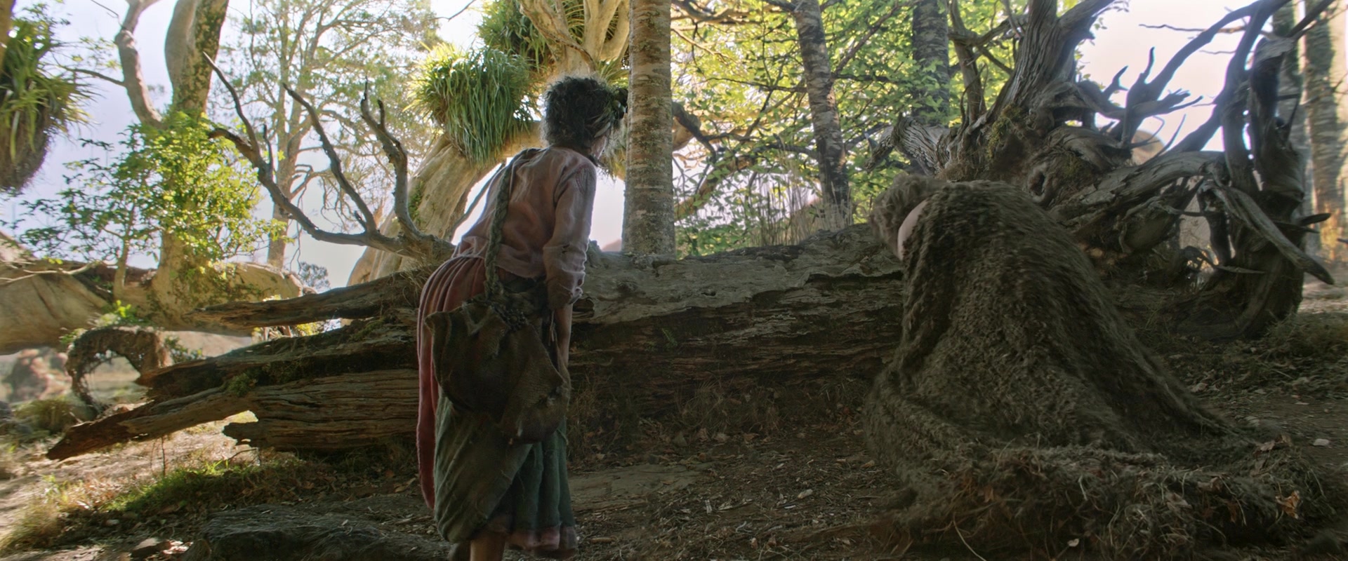 LOTR_0754.jpg
