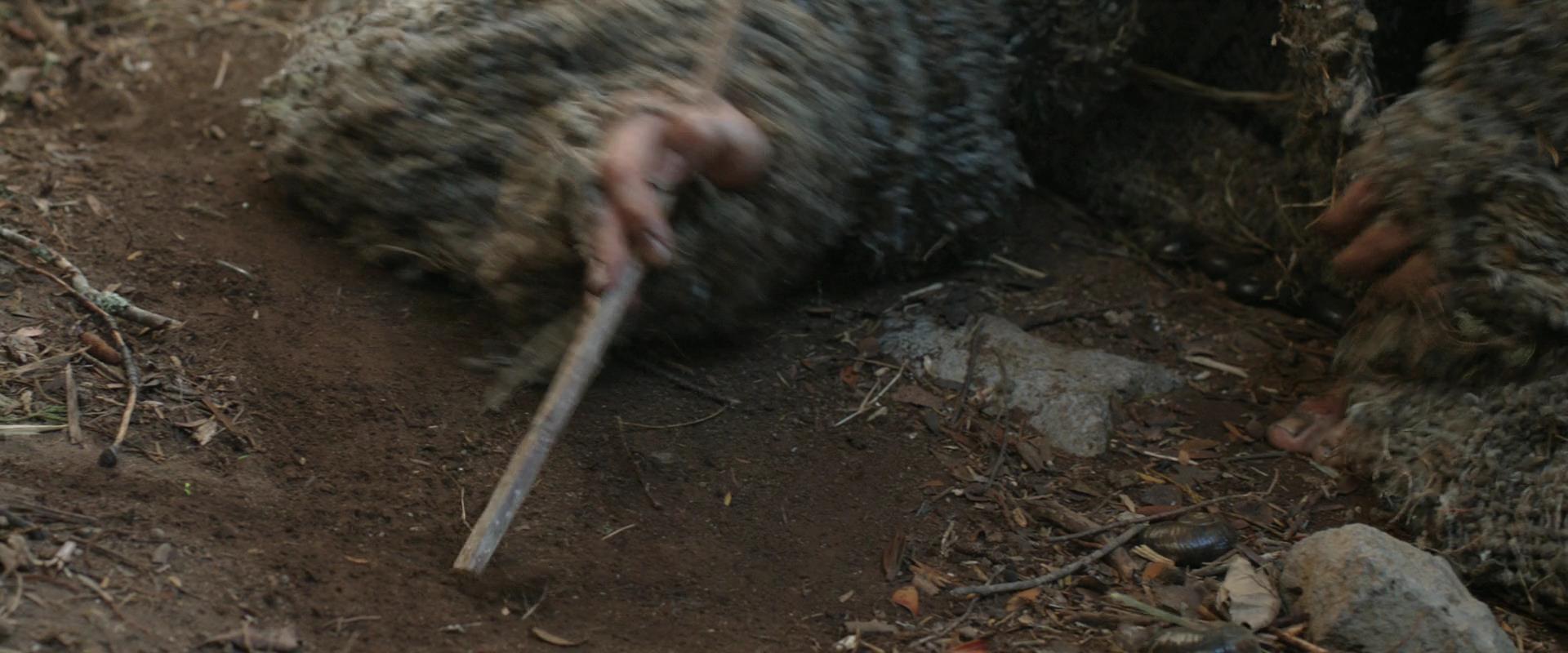 LOTR_0795.jpg
