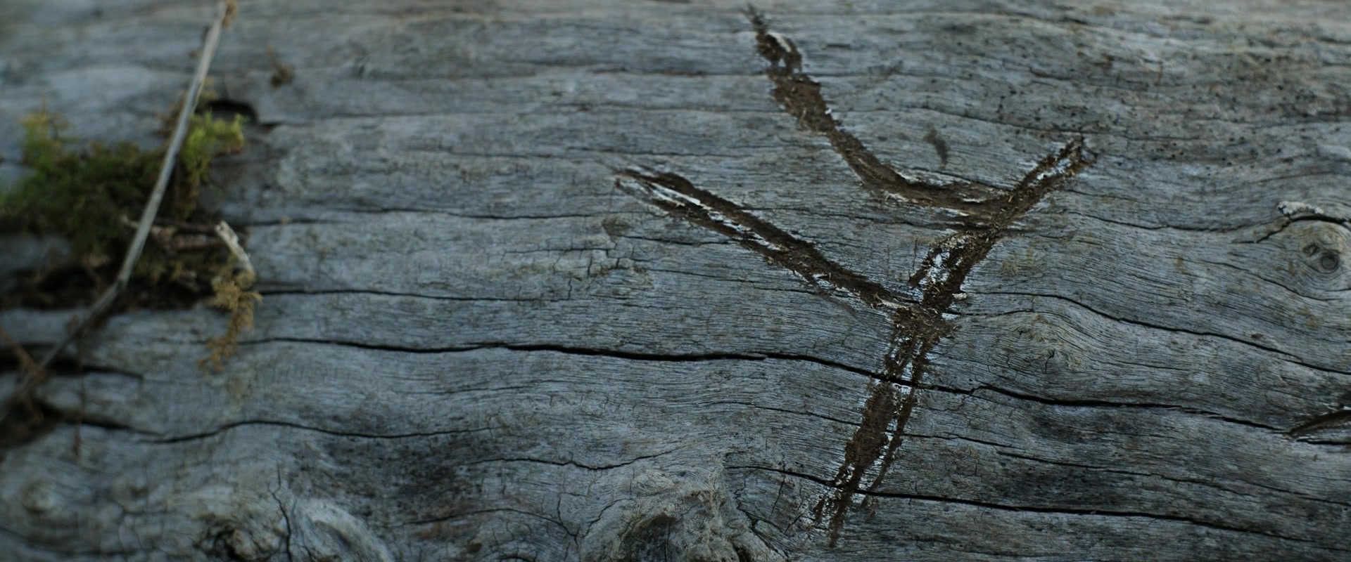 LOTR_0814.jpg