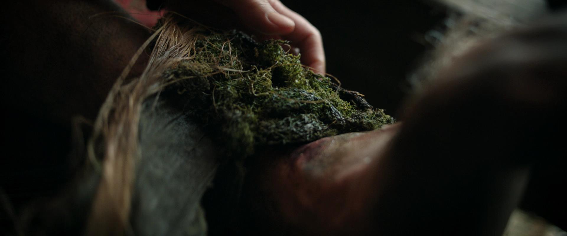 LOTR_0832.jpg