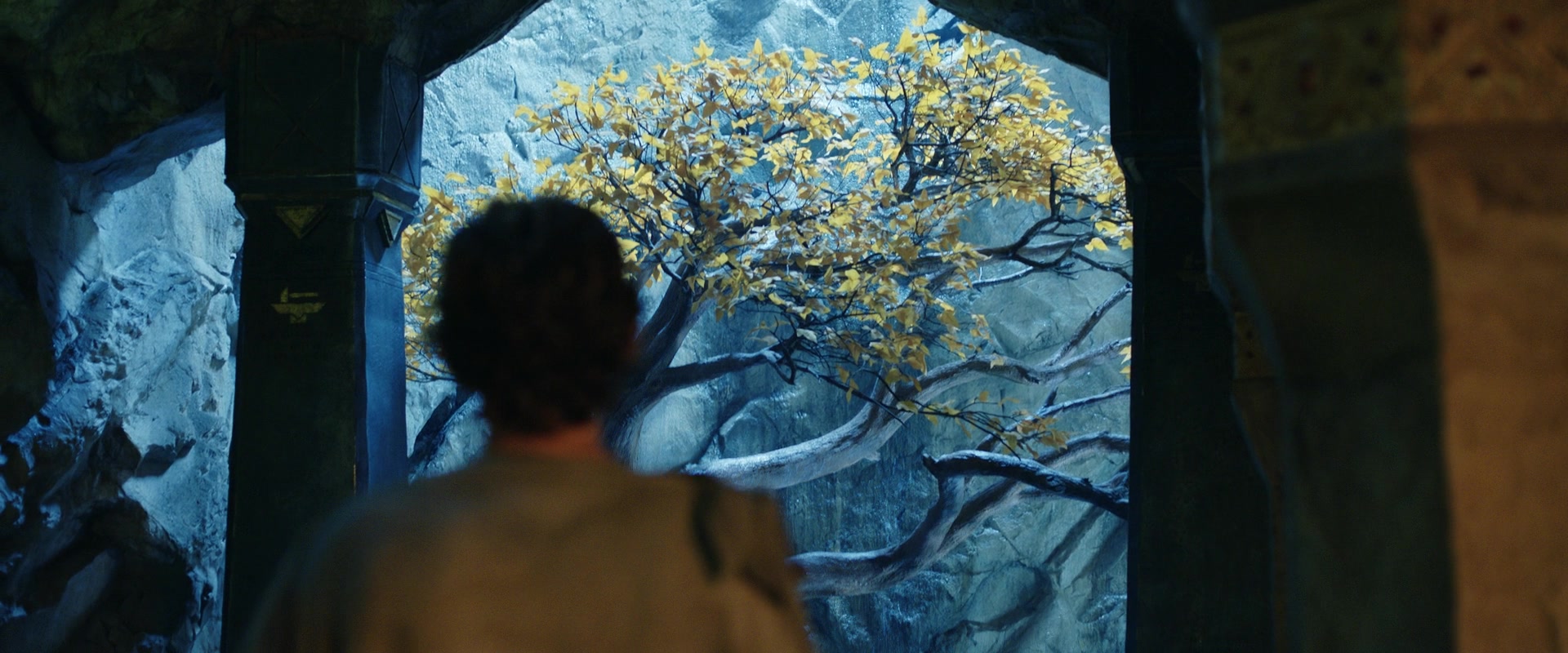 LOTR_1384.jpg