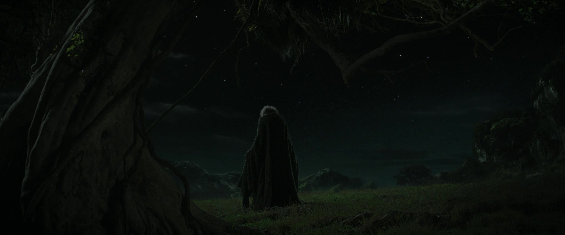 LOTR_2145.jpg