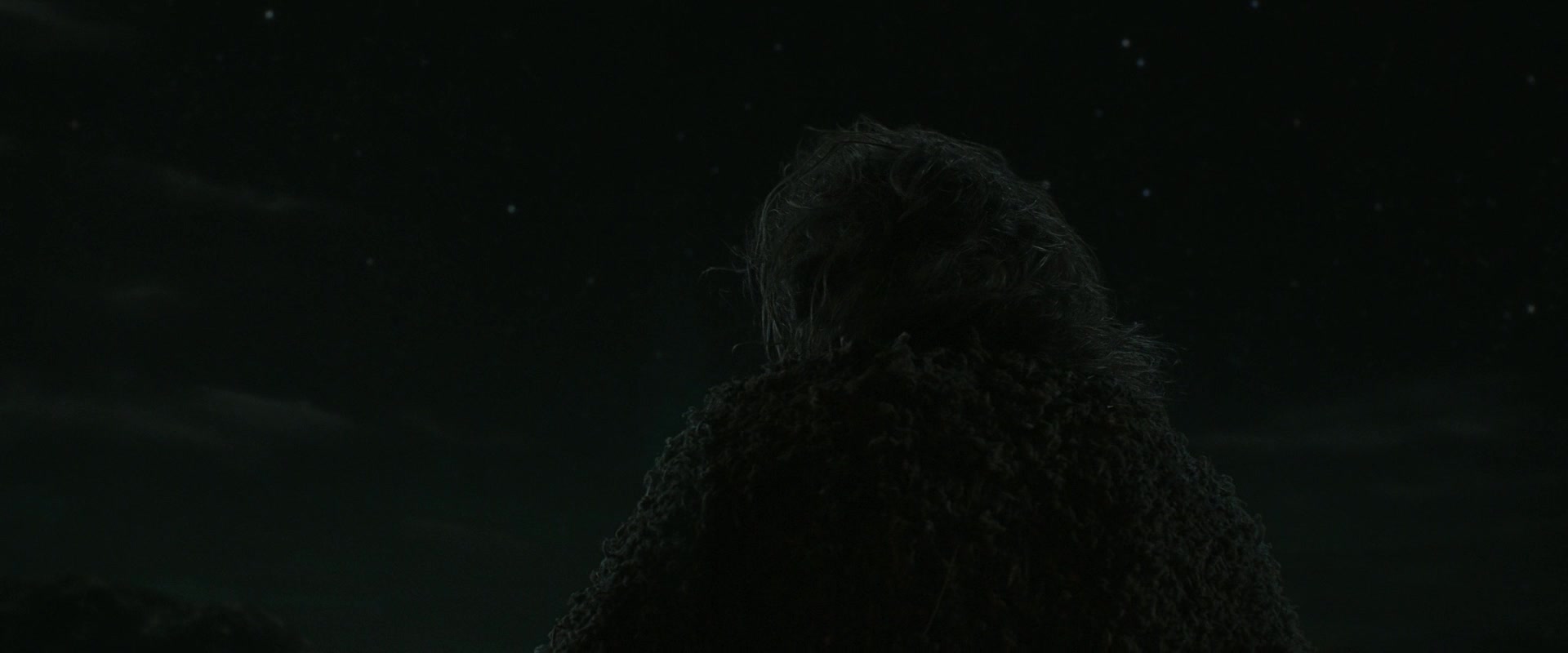 LOTR_2154.jpg