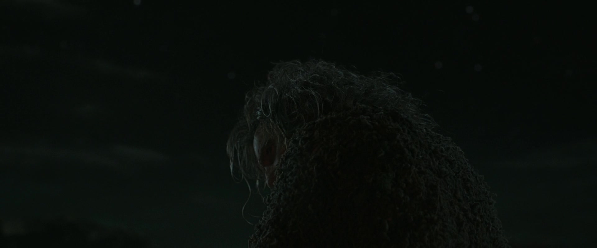 LOTR_2155.jpg