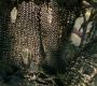 LOTR_0620.jpg