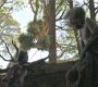 LOTR_0660.jpg