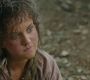 LOTR_0712.jpg