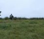 Filename=LOTR_1632.jpg
Filesize=163KiB
Dimensions=1920x800
Date added=Sep 28, 2022 LOTR_1632.jpg
