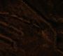 Filename=LOTR_1712.jpg
Filesize=87KiB
Dimensions=1920x800
Date added=Sep 28, 2022 LOTR_1712.jpg