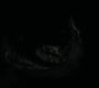 Filename=LOTR_1734.jpg
Filesize=37KiB
Dimensions=1920x800
Date added=Sep 28, 2022 LOTR_1734.jpg