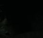 Filename=LOTR_1738.jpg
Filesize=46KiB
Dimensions=1920x800
Date added=Sep 28, 2022 LOTR_1738.jpg