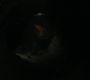Filename=LOTR_1749.jpg
Filesize=42KiB
Dimensions=1920x800
Date added=Sep 28, 2022 LOTR_1749.jpg