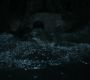 Filename=LOTR_1771.jpg
Filesize=105KiB
Dimensions=1920x800
Date added=Sep 28, 2022 LOTR_1771.jpg