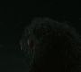Filename=LOTR_2155.jpg
Filesize=60KiB
Dimensions=1920x800
Date added=Sep 28, 2022 LOTR_2155.jpg
