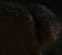 Filename=LOTR_2214.jpg
Filesize=77KiB
Dimensions=1920x800
Date added=Sep 28, 2022 LOTR_2214.jpg